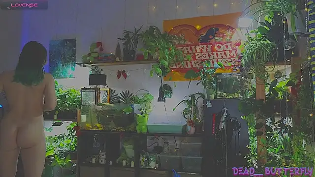 Snapshot of Dead_Butterfly chatting on 01/12/25, 03:28 Dead Butterfly online show from 01/12/25, 03:28