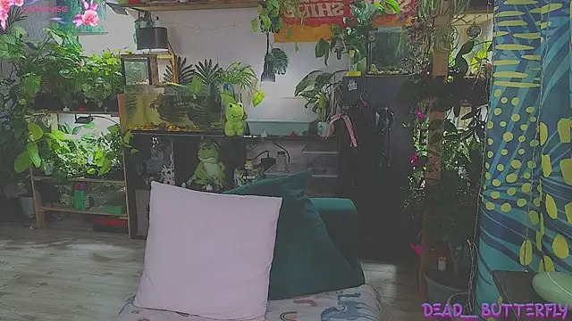 Snapshot of Dead_Butterfly chatting on 02/16/25, 04:20 Dead Butterfly online show from 02/16/25, 04:20