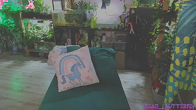 Snapshot of Dead_Butterfly chatting on 03/13/25, 03:33 Dead Butterfly online show from 03/13/25, 03:33