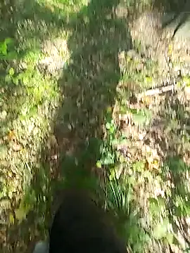 sarpe4 online show from 09/14/25, 08:02