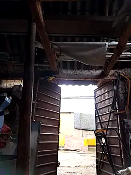 sarpe4 online show from 10/04/25, 05:27