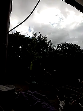 sarpe4 online show from 10/12/25, 07:18