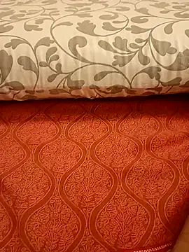 Snapshot of Bull8 chatting on 03/02/25, 11:42 Bull8 online show from 03/02/25, 11:42