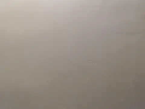 Snapshot of Bigg_Pussyy_Catt chatting on 09/19/25, 09:22 Bigg Pussyy Catt online show from 09/19/25, 09:22