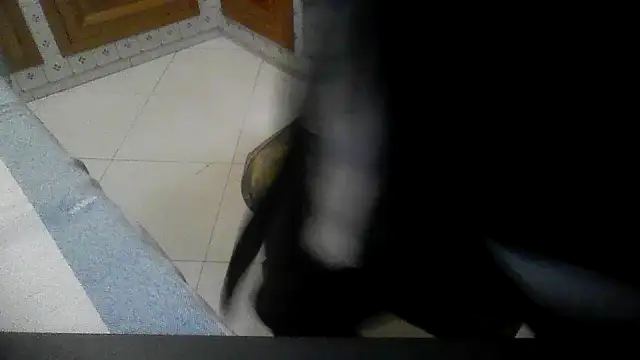 polloiw online show from 10/18/25, 07:36