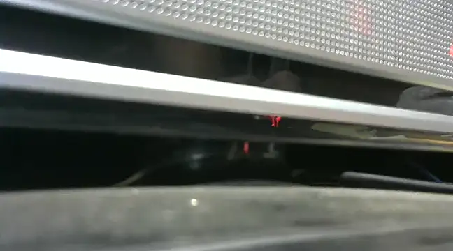 gauchors20 online show from 12/26/24, 01:51