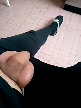 david geam online show from 12/21/24, 09:33