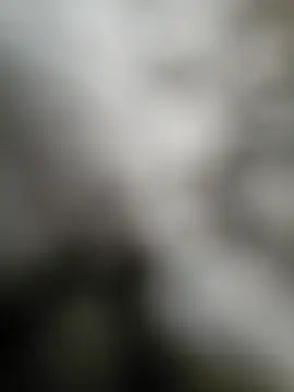 Snapshot of NiceHunter89 chatting on 09/15/25, 02:50 NiceHunter89 online show from 09/15/25, 02:50
