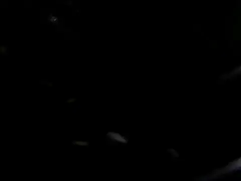 giga-bite online show from 10/10/25, 03:44