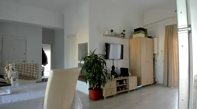 Snapshot of woolfiie chatting on 12/19/24, 11:50 woolfiie online show from 12/19/24, 11:50