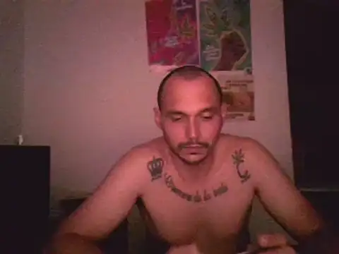 Snapshot of universitario-col chatting on 12/03/24, 01:52 universitario-col online show from 12/03/24, 01:52