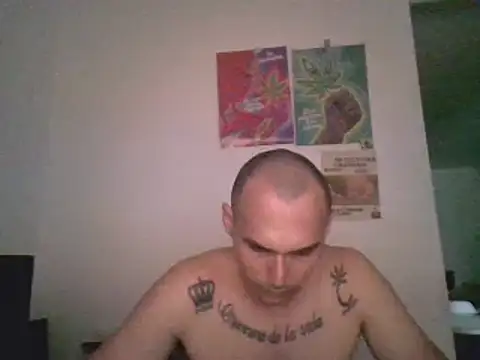 Snapshot of universitario-col chatting on 12/09/24, 12:56 universitario-col online show from 12/09/24, 12:56