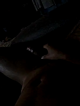 jorgenew online show from 11/20/25, 09:09