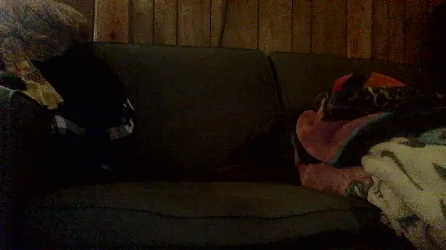 Ryoko Momoko online show from 11/01/25, 02:46