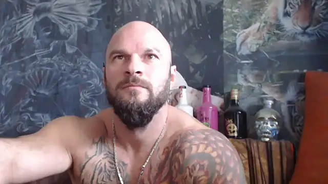 Snapshot of viking_30 chatting on 10/13/25, 07:08 viking 30 online show from 10/13/25, 07:08