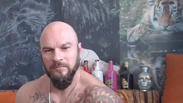 Snapshot of viking_30 chatting on 10/28/25, 11:14 viking 30 online show from 10/28/25, 11:14