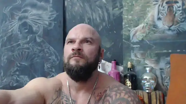 Snapshot of viking_30 chatting on 10/31/25, 08:21 viking 30 online show from 10/31/25, 08:21