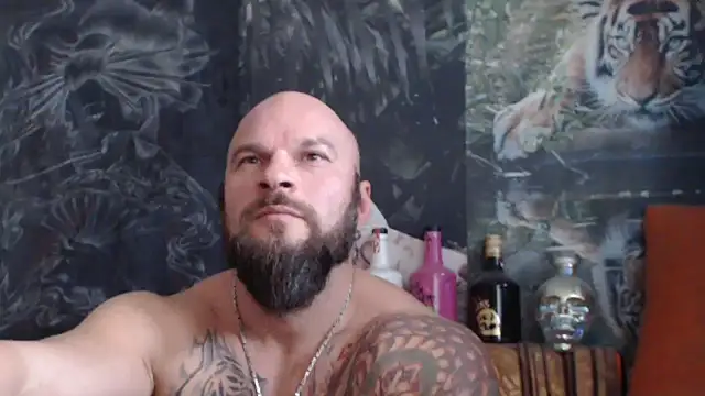 Snapshot of viking_30 chatting on 11/04/25, 07:51 viking 30 online show from 11/04/25, 07:51