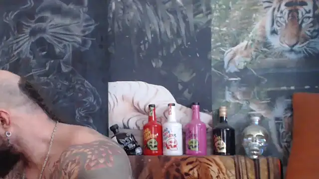 Snapshot of viking_30 chatting on 11/05/25, 08:03 viking 30 online show from 11/05/25, 08:03