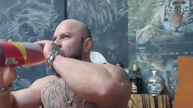 Snapshot of viking_30 chatting on 11/05/25, 08:09 viking 30 online show from 11/05/25, 08:09