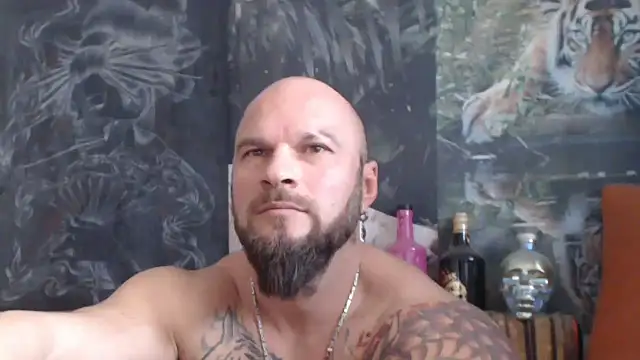 Snapshot of viking_30 chatting on 11/06/25, 08:15 viking 30 online show from 11/06/25, 08:15