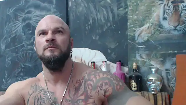 Snapshot of viking_30 chatting on 11/08/25, 07:45 viking 30 online show from 11/08/25, 07:45