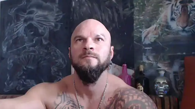 Snapshot of viking_30 chatting on 11/09/25, 08:01 viking 30 online show from 11/09/25, 08:01