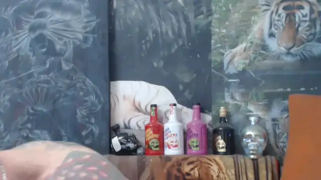 Snapshot of viking_30 chatting on 11/14/25, 07:51 viking 30 online show from 11/14/25, 07:51