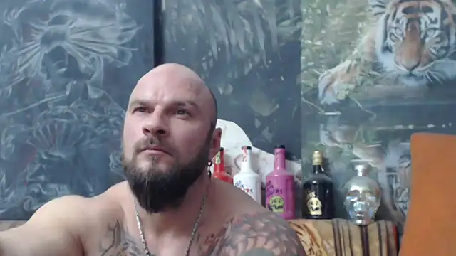 Snapshot of viking_30 chatting on 11/14/25, 07:56 viking 30 online show from 11/14/25, 07:56