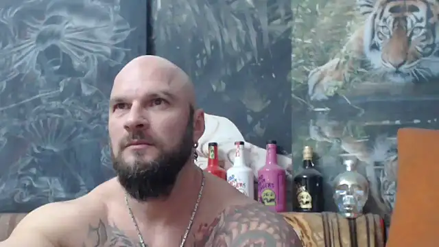 Snapshot of viking_30 chatting on 11/17/25, 07:41 viking 30 online show from 11/17/25, 07:41