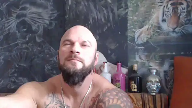 Snapshot of viking_30 chatting on 11/18/25, 07:46 viking 30 online show from 11/18/25, 07:46