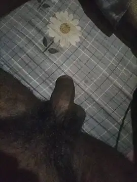 naxusxh online show from 11/07/25, 05:57