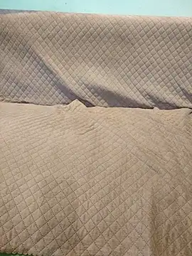 Snapshot of indianbulldelhi chatting on 10/16/25, 05:08 indianbulldelhi online show from 10/16/25, 05:08