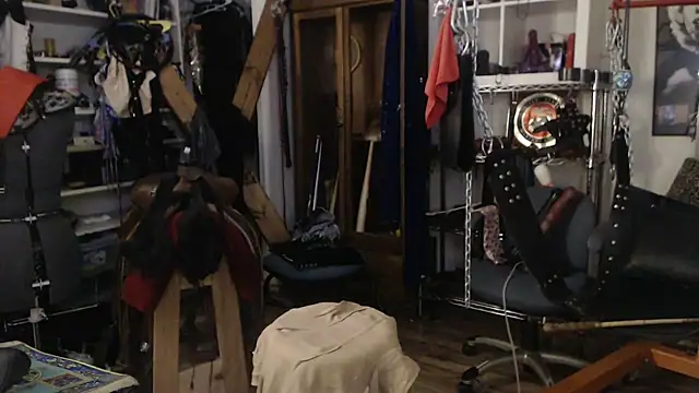 Snapshot of Transjoni chatting on 03/22/25, 11:00 Transjoni online show from 03/22/25, 11:00