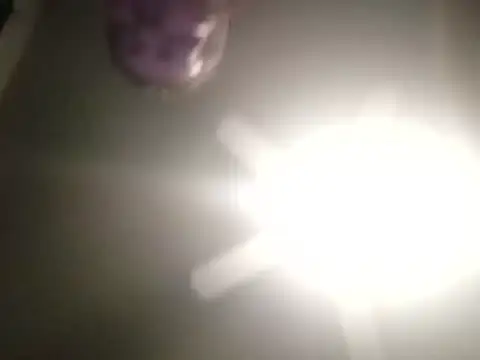 thefire420 online show from 12/03/24, 02:38