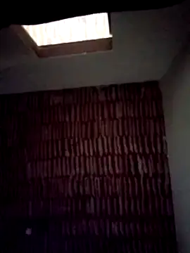 catdool online show from 01/22/25, 08:18