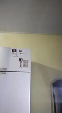 catdool online show from 02/14/25, 10:07