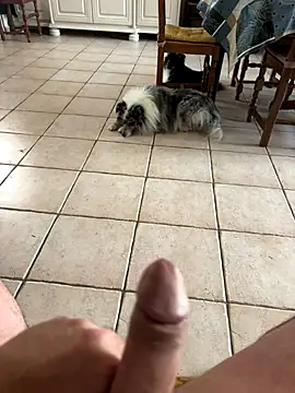 Loul41 online show from 11/02/25, 03:03