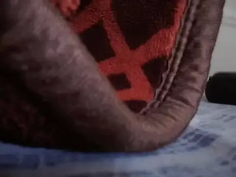 Steffan55 online show from 02/17/25, 05:32