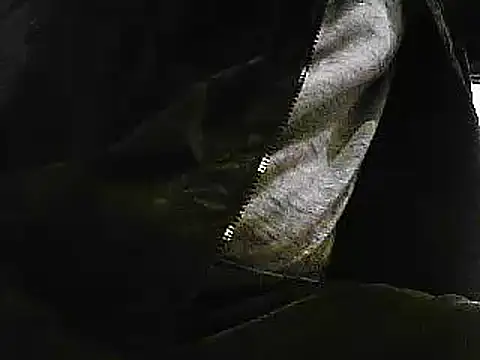 papiculo86 online show from 01/29/25, 09:33