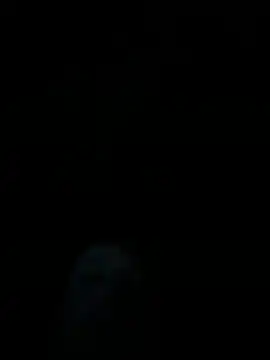 dropmoney online show from 12/01/25, 05:01