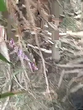 FinableKnee online show from 09/18/25, 04:47