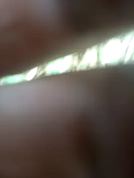 FinableKnee online show from 11/21/25, 06:34