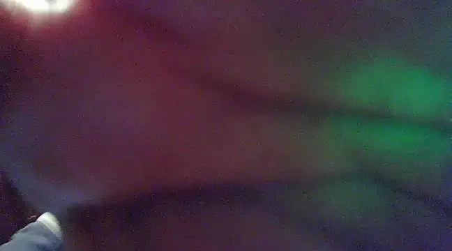 crazyneighbo r online show from 12/02/24, 12:41