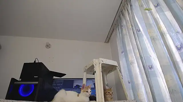 eolicasex online show from 03/07/25, 04:00