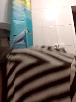 Snapshot of Zulfiya_Bruce chatting on 11/01/25, 06:10 Zulfiya Bruce online show from 11/01/25, 06:10