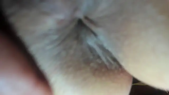 FrumCake online show from 12/21/24, 03:47