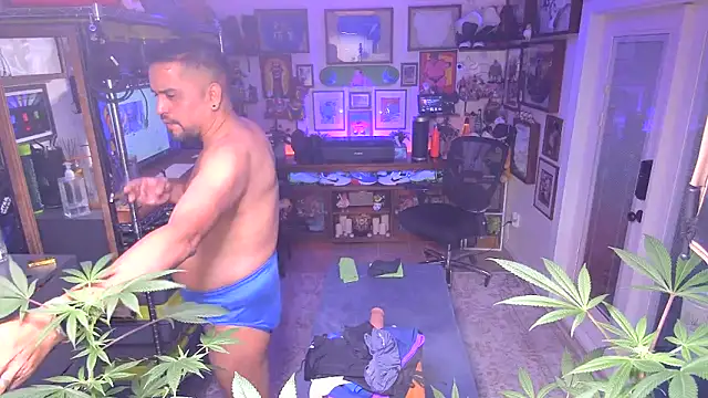 Briefs bud online show from 12/16/24, 03:19