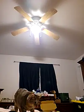 Snapshot of ScarletCallings420 chatting on 02/19/25, 03:27 ScarletCallings420 online show from 02/19/25, 03:27