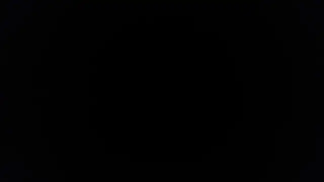 Snapshot of palidin1 chatting on 11/25/25, 10:37 palidin1 online show from 11/25/25, 10:37